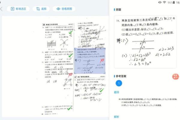 网批是什么意思