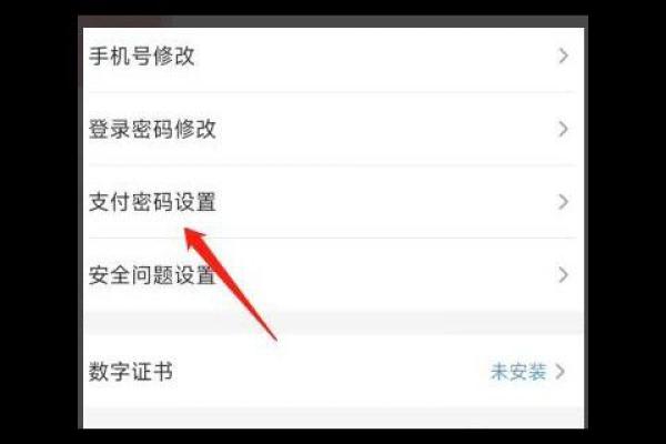 云闪付支付密码是什么