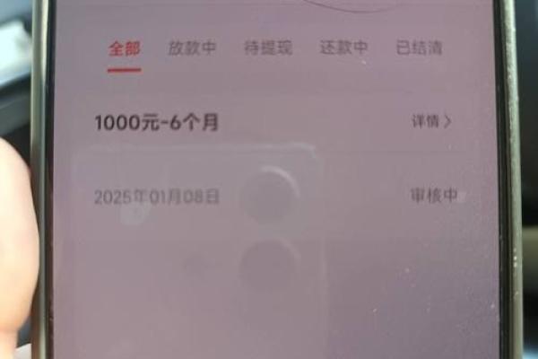 玖富万卡放款中是审核通过了吗