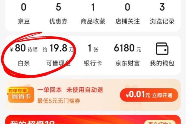 京东上面的白条是什么意思