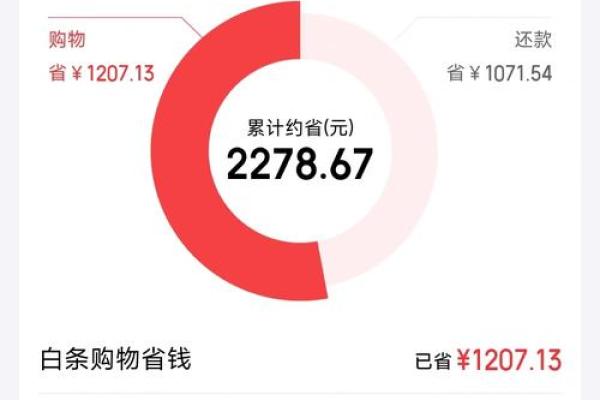 京东上面的白条是什么意思