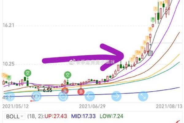 金发拉比是哪个板块
