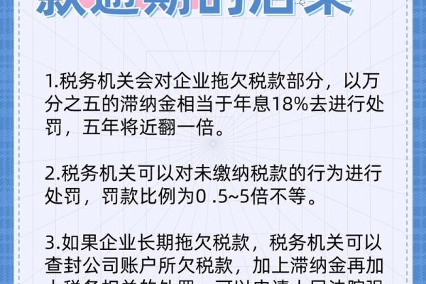 税务贷款有什么后果