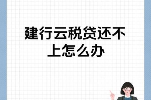 税务贷款有什么后果
