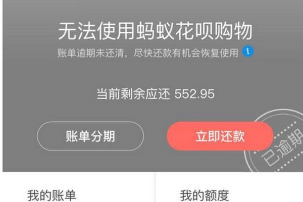 花呗还款日当天最晚几点还款