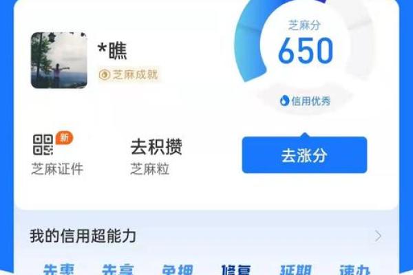 什么是芝麻分