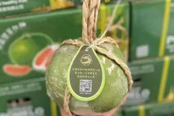 柚支付是什么