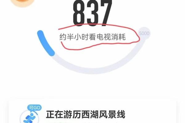 支付宝步数在哪看