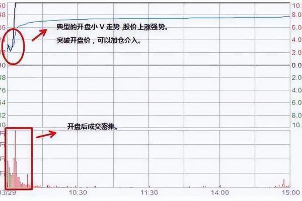 金字塔建仓的原理和步骤