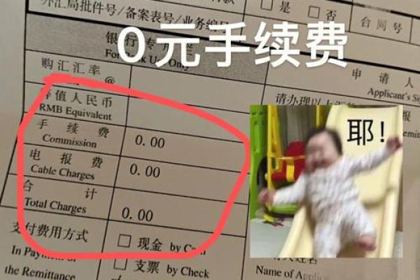 解付是什么意思