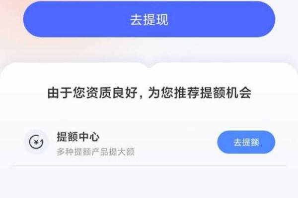 宜享花合作方有借款是什么意思