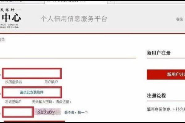 征信去哪里打