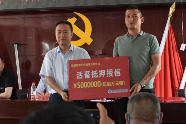 库尔勒银行属于什么银行