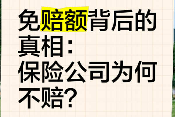 一万免赔什么意思