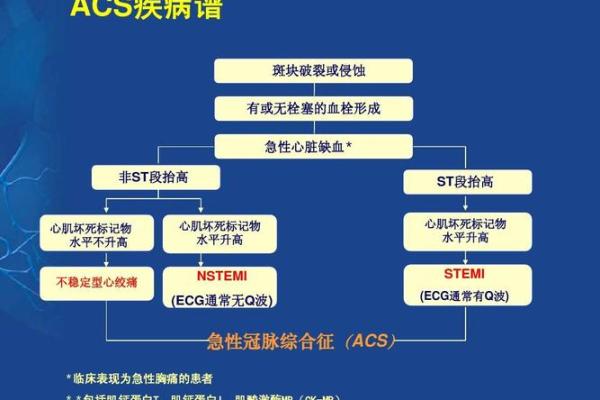 全额打款商家acs是什么意思