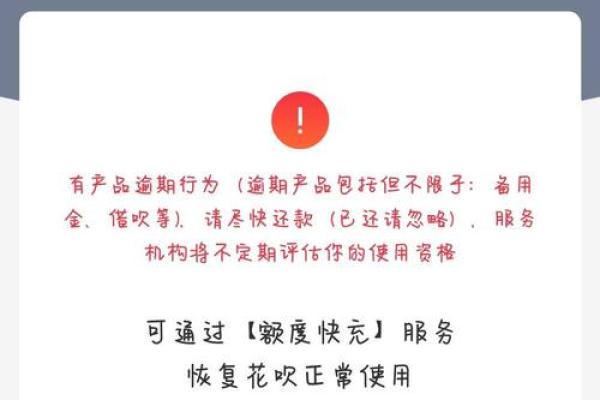 支付宝备用金可以延期还款吗
