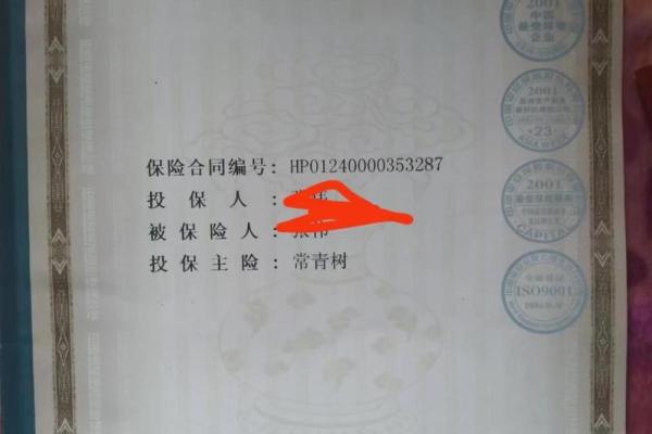 平安常青树保险介绍