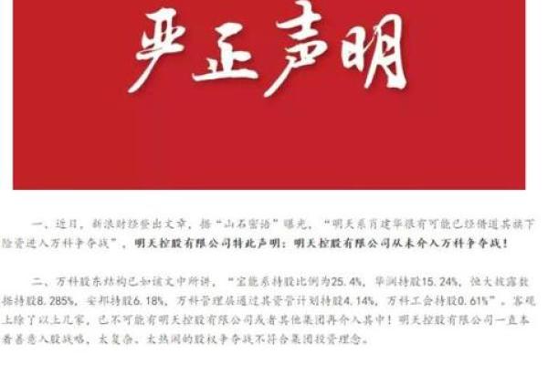 什么是明天系保险公司