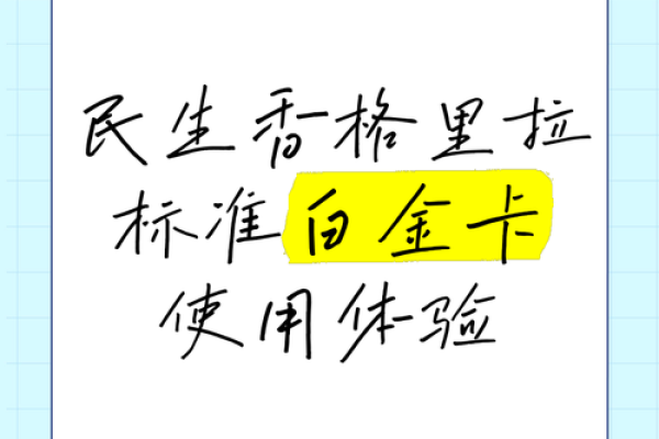 民生标准白金最低额度